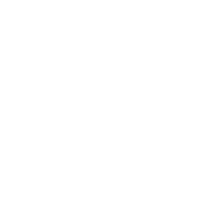 safe-payment 8e88